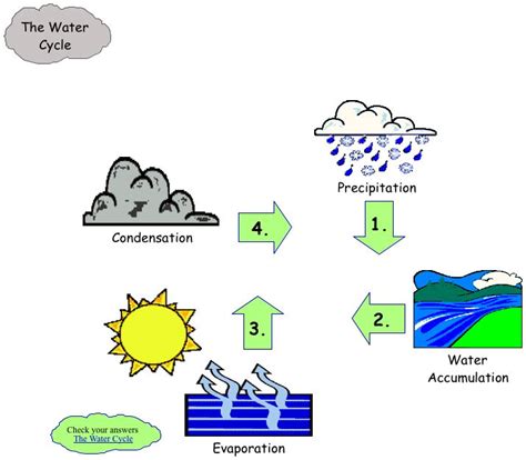 water cycle pictures grade 4